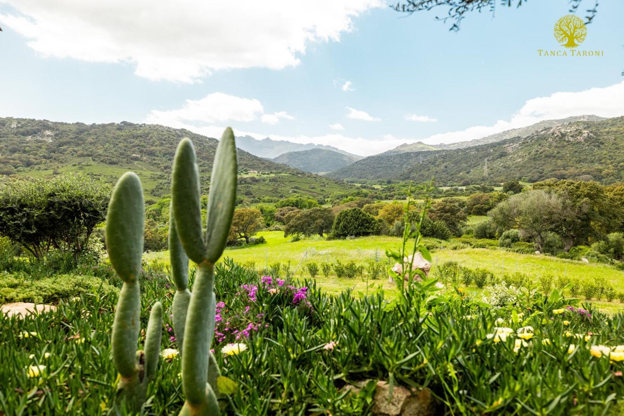 Agriturismo Bed And Breakfast Tanca Taroni Telti Екстер'єр фото