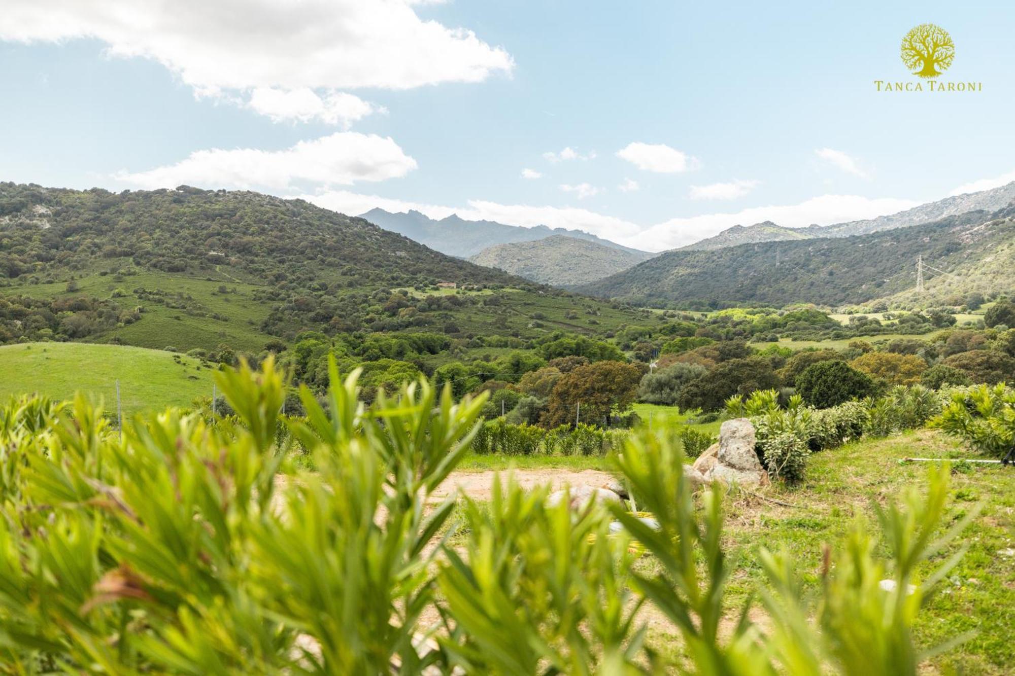 Agriturismo Bed And Breakfast Tanca Taroni Telti Екстер'єр фото
