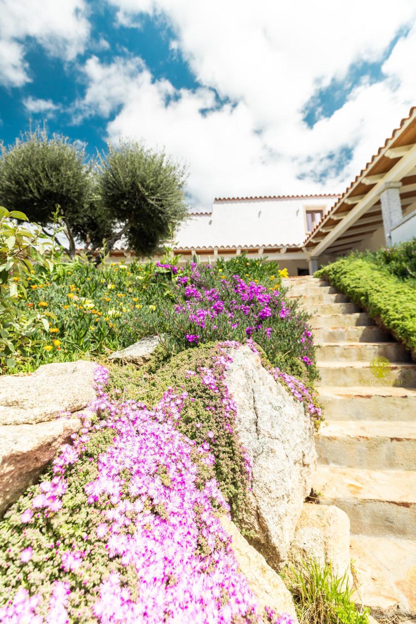 Agriturismo Bed And Breakfast Tanca Taroni Telti Екстер'єр фото